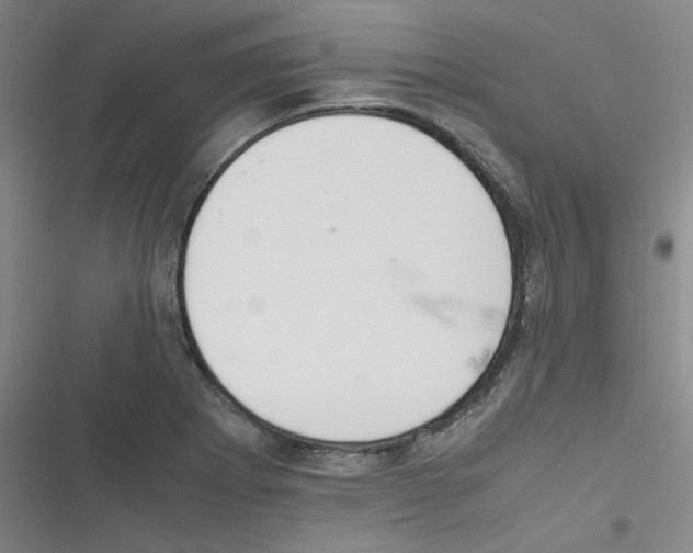 X0000116331273201001131017