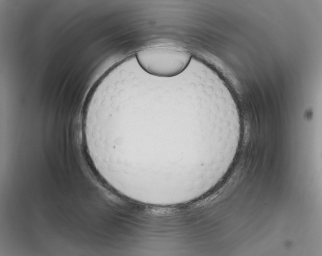 X0000116331274201001131017