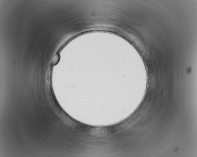 X0000116331275201001131017