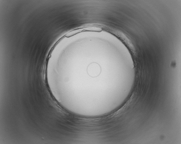 X0000116331276201001131017