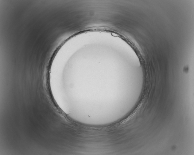 X0000116331277201001131017