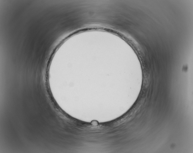 X0000116331279201001131017