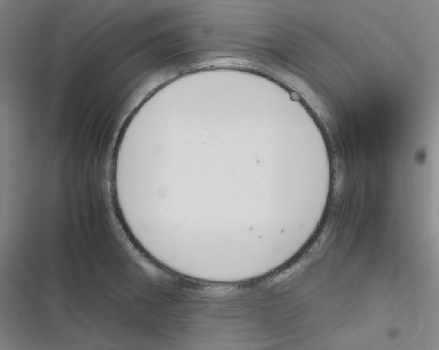 X0000116331282201001131017