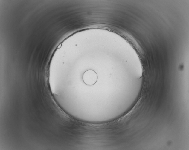 X0000116331284201001131016