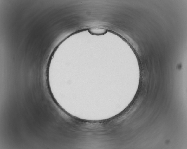 X0000116331285201001131016