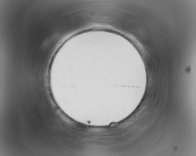 X0000116331287201001131016