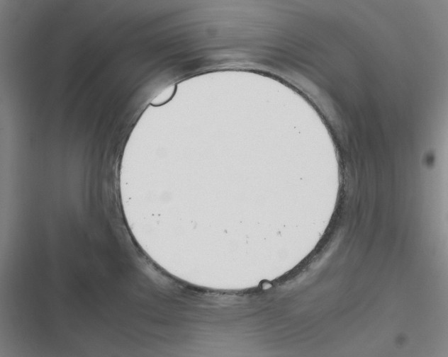 X0000116331289201001131016