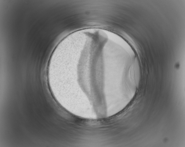 X0000116331291201001131016