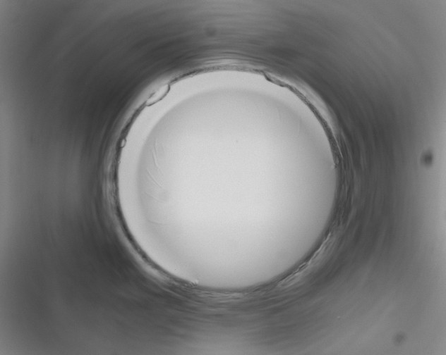 X0000116331293201001131016