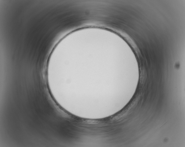 X0000116331295201001131016