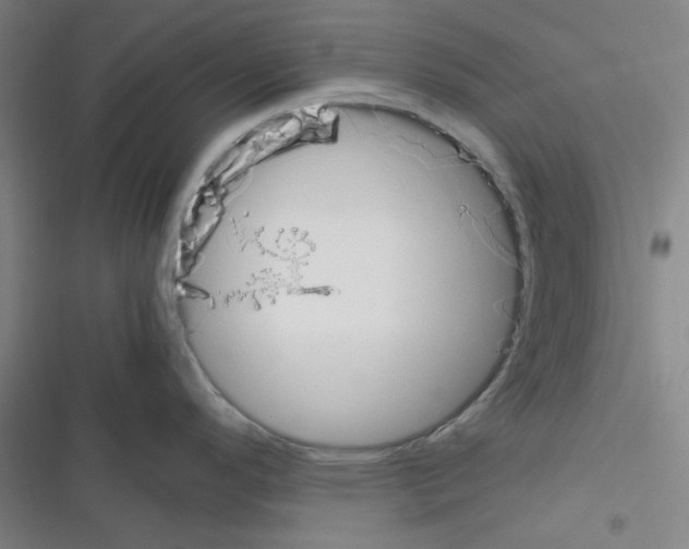 X0000116331296201001131016