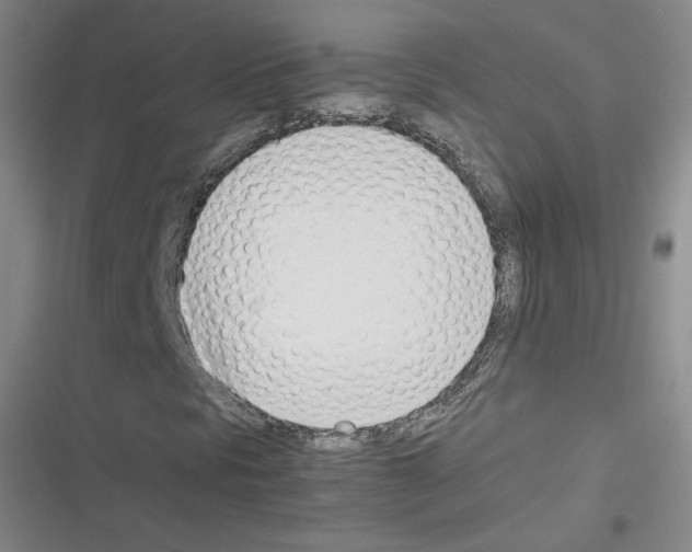 X0000116331297201001131016