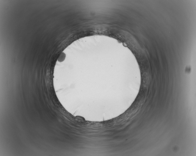 X0000116331298201001131016