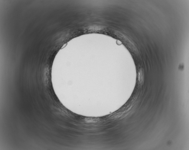 X0000116331299201001131016