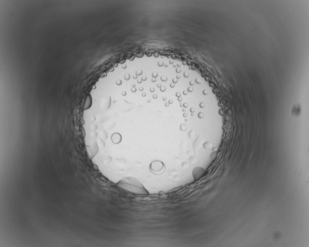 X0000116331301201001131016