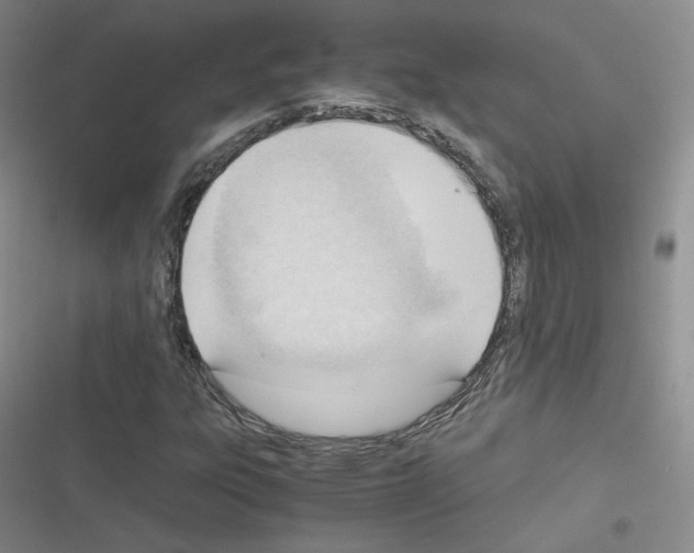 X0000116331303201001131016