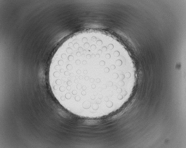 X0000116331305201001131016