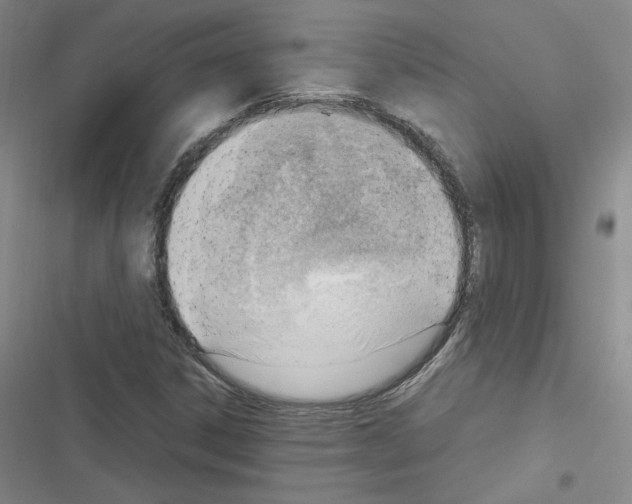 X0000116331306201001131016
