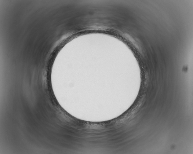 X0000116331307201001131016