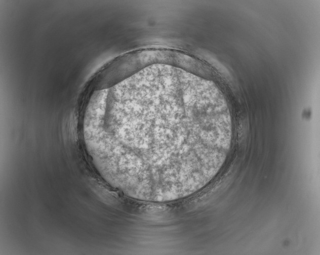 X0000116331310201001131016