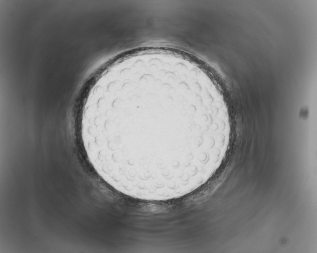 X0000116331311201001131016
