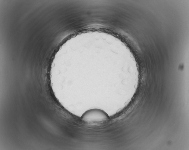 X0000116331313201001131016