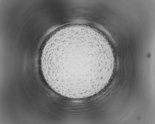 X0000116331315201001131016