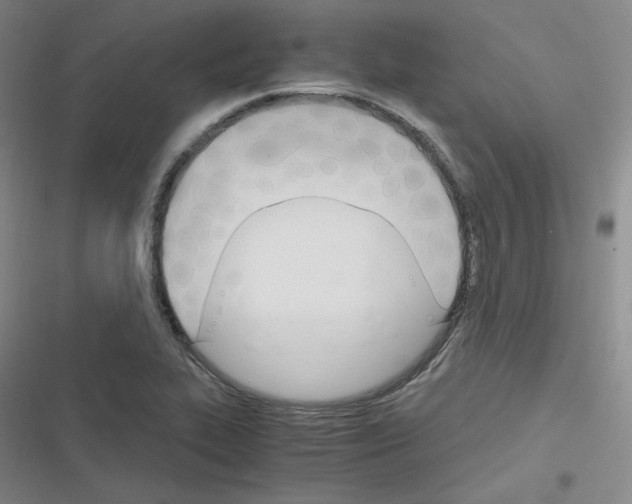 X0000116331319201001131016