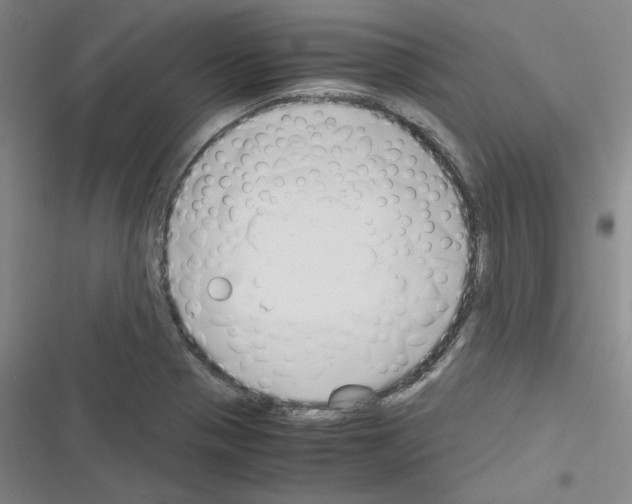 X0000116331321201001131016