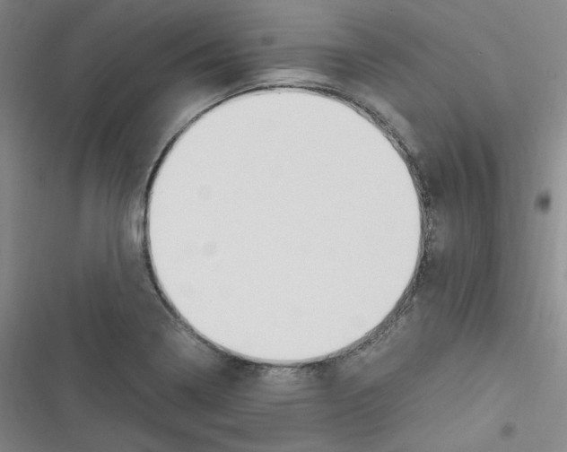 X0000116331322201001131016