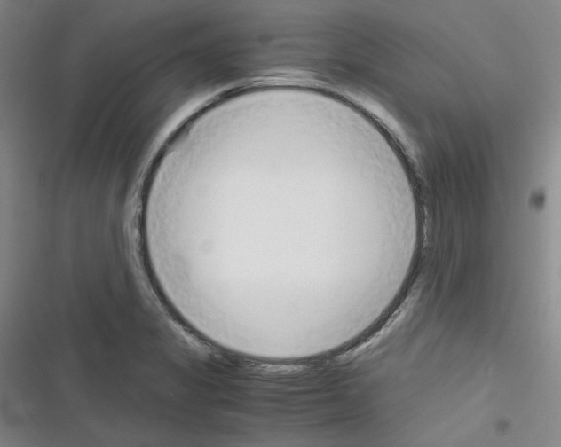 X0000116331325201001131016