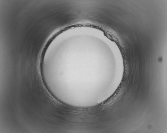 X0000116331326201001131016