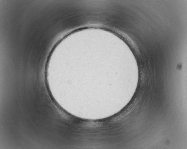 X0000116331327201001131016