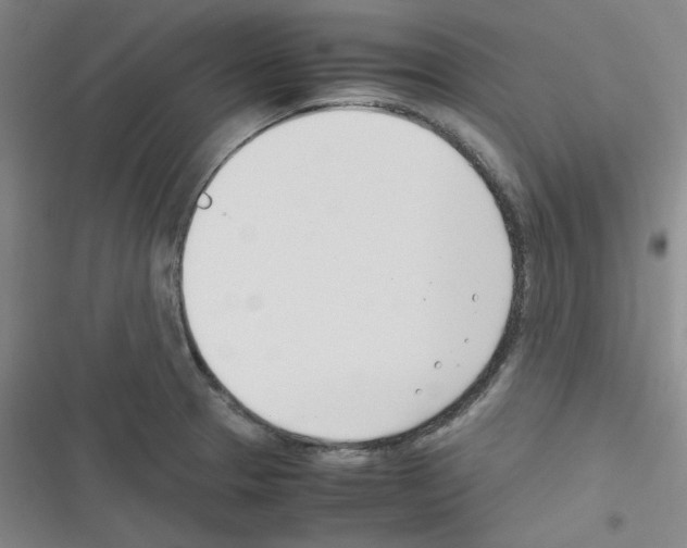 X0000116331329201001131016