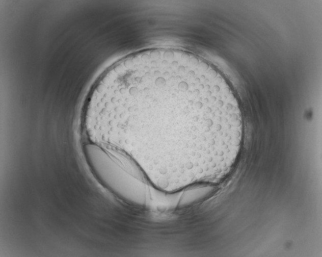 X0000116331331201001131016