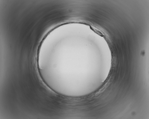X0000116331334201001131016