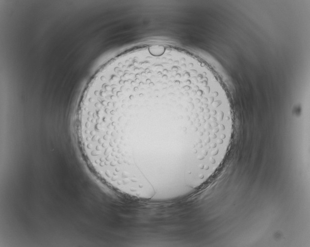 X0000116331335201001131016