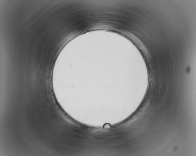 X0000116331337201001131016