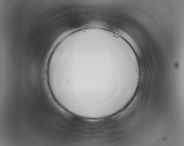 X0000116331339201001131016