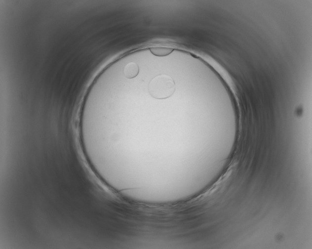 X0000116331341201001131016