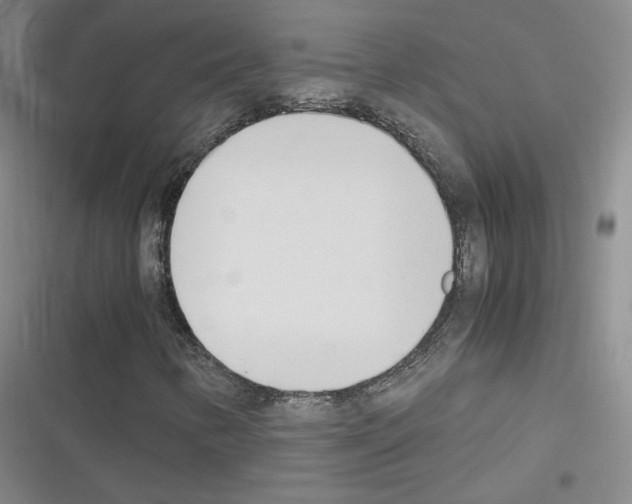 X0000116331346201001131016