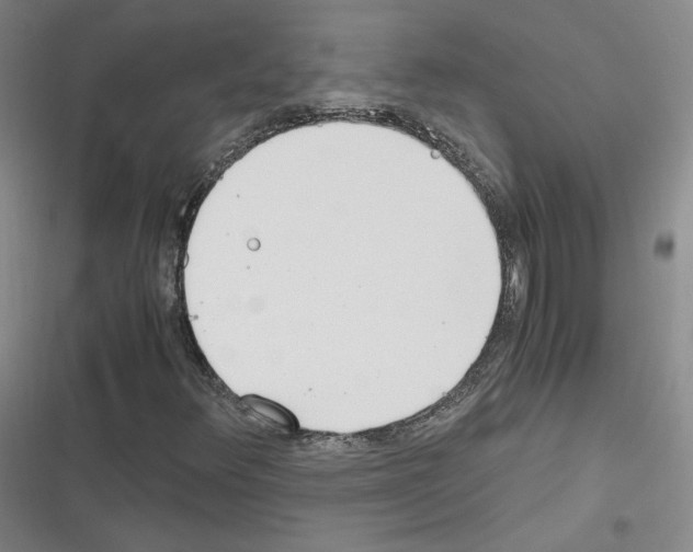 X0000116331348201001131016