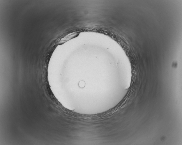 X0000116331349201001131016
