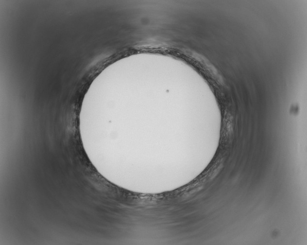 X0000116331350201001131016