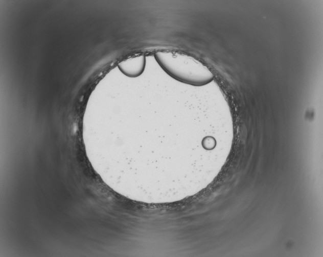 X0000116331351201001131016