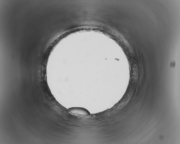 X0000116331352201001131016