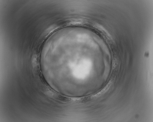 X0000116331353201001131016