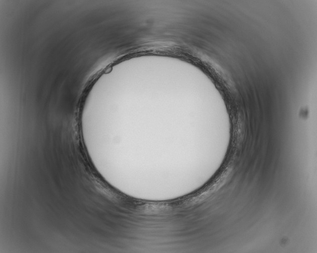 X0000116331354201001131016