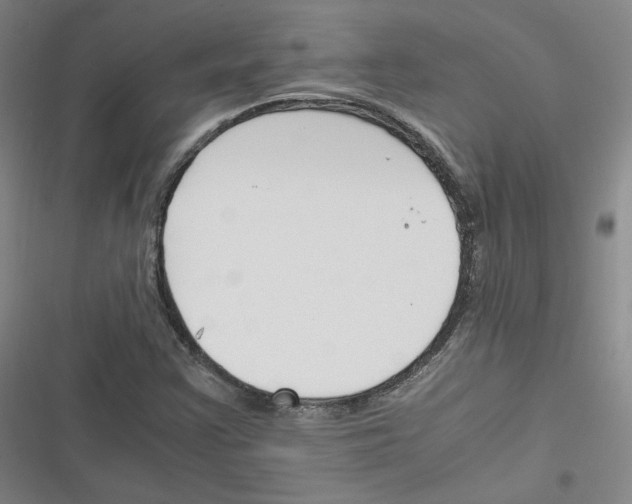 X0000116331355201001131016