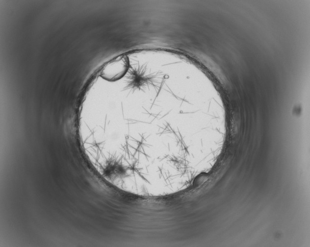X0000116331356201001131016